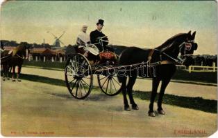 Friesland / Dutch folklore from Frisia, horse-drawn carriage, windmill (EM)