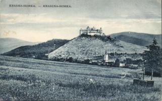 Krasznahorka castle (wet damage)