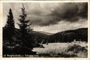 1944 Hargitafürdő, Hargitha-Bai; Tolvajos-tető / mountain peak (fl)