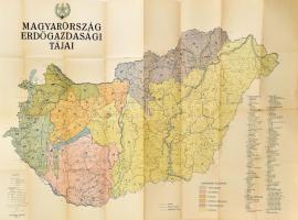 1963 Magyarország erdőgazdasági tájai. 1 : 500.000. Kiadja az Országos Erdészeti Főigazgatóság. Bp., Kartográfiai Vállalat, 115x77 cm