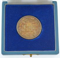 1990. "Emlékérem / Belváros-Lipótváros - Budapest Főváros V. kerület Önkormányzata" kétold...