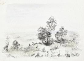 Palma 84 jelzéssel: mezei táj. Akvarell, tus, papír. Jelzett. 46x36 cm