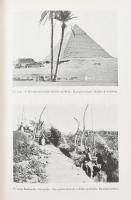 Cholnoky Jenő (1870-1950): A Földközi-tenger. A Magyar Földrajzi Társaság Könyvtára. Bp., [1939], Fr...