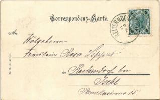 1903 Bad Ischl, Schmalenau und Kreuzstein (EK)