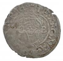 1572K-B Denár Ag "Miksa" (0,40g) T:2,2- patina
Huszár: 992.,Unger II.: 766.a