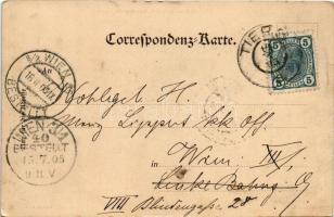 1905 Torri del Vajolet, Vajolet-Türme (Südtirol); Die Thürme von Vajolett / mountain peak. B. Johann...