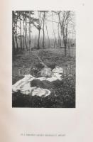 Maderspach Viktor: Medve! Bp., [1943], Ruszkabányai Könyvkiadó (Kapucinus-ny.), 231 p. + XII t. (fek...