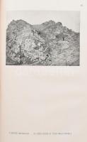 Maderspach Viktor: Medve! Bp., [1943], Ruszkabányai Könyvkiadó (Kapucinus-ny.), 231 p. + XII t. (fek...