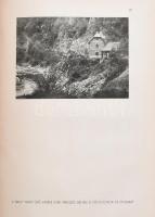 Maderspach Viktor: Medve! Bp., [1943], Ruszkabányai Könyvkiadó (Kapucinus-ny.), 231 p. + XII t. (fek...