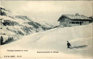 Paysage alpestre en hiver / Alpenlandschaft im Winter / winter sport, sled (EK)