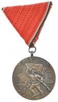 1959. Tanácsköztársasági Emlékérem ezüstözött Br kitüntetés, eredeti, kopott mellszalaggal, dísztokban T:1- NMK 701.