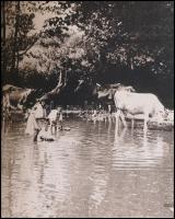 Erich Hoffmann fotoalbum. Összeállította és az előszót írta: Erdélyi Lajos. Fordította: Haik Wennzel...