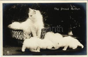 The Proud Mother cat family