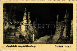 1948 Aggteleki cseppkőbarlang, Aggtelek-Jósvafői (Nagybaradla) cseppkőbarlang, Óriások terme, belső (EK)