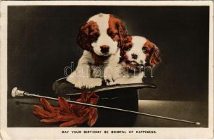 1933 May Your Birthday Be Brimful of Happiness Birthday greeting card with dogs in a hat (EK)