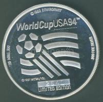 NSZK 1994. "FIFA világbajnokság" Ag 31,2g T:PP