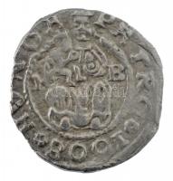 1608K-B Denár Ag "Rudolf" kapszulában, tanúsítvánnyal (0,55g) T:2- kis repedés
Hungary 16...