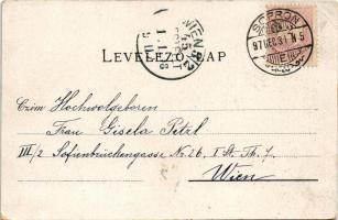 1897 (Vorläufer!) Sopron, Oedenburg; Várostorony, látkép, Színház, Széchenyi tér. Art Nouveau, flora...