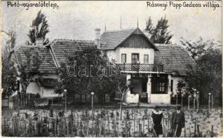 1928 Pirtó-nyaralótelep, Rásonyi Papp Gedeon villája, szőlőskert (szakadás / tear)