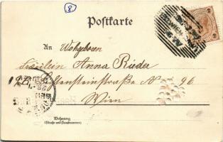 1899 (Vorläufer) Hoch Anna / Name Day greeting art postcard with silk flowers. litho (EK)