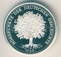 NSZK DN "Sziléziai háború" Ag 20g T:PP