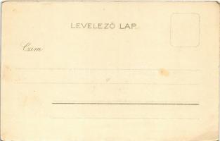 Mali Losinj, Lussinpiccolo; Kosmos Műintézet litho (EK)