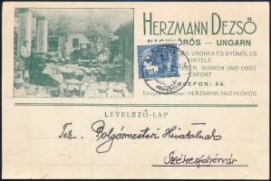 cca 1930 Nagykőrös Herzmann Dezső uborka kereskedő reklám levelezőlap