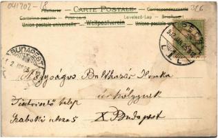 1902 Boldog Újévet! / New Year greeting art postcard with flowers. litho (fl)