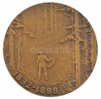 Szovjetunió 1983. "Ivan Siskin / 1832-1898" kétoldalas bronz emlékérem (60mm) T:1-
Soviet...