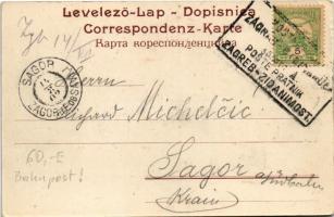 1902 Sziszek, Sisak, Sissek; Ladjarska ulica / utca / street + "POSTAKALAUZ ZÁGRÁB - STEINBRÜCK...