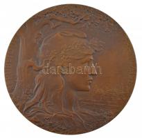 Franciaország 1900. "Francia Köztársaság / Párizsi Világkiállítás 1900" kétoldalas bronz e...