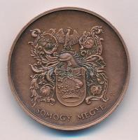 DN "Somogy Megye Közgyűlése / Somogy megye" piedfort Br emlékérem dísztokban. Szign.: BL (...