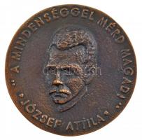 1997. "József Attila Gimnázium 1997 / 'A mindenséggel mérd magad! - József Attila' " kétoldalas Br emlékérem (72mm) T:1-