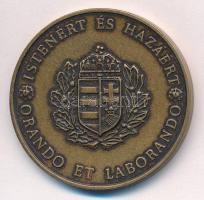 1994. "Protestáns Tábori Püspökség - Istenért és Hazáért" Br emlékérem (42,5mm) T:1