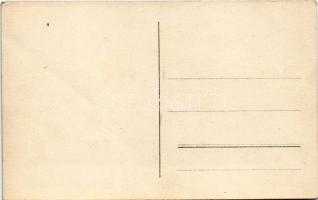 Budapest XIV. Angol park, rodli pálya, óriáskerék. photo