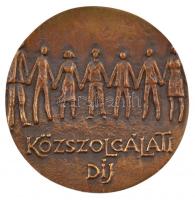 DN Szarvas Város / Közszolgálati díj bronz emlékérem (72mm) T:2
