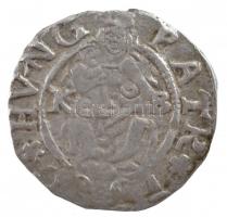 1580K-B Denár Ag "Rudolf" (0,45g) T:2- 
Hungary 1580K-B Denar Ag "Rudolf" (0,45...
