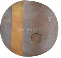 Csikszentmihályi Róbert (1940-2021) 1981. "Szentendre" bronz plakett (100x105mm) T:1-