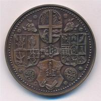 Tóth Sándor (1933-2019) 1985. "Szabolcs vezér - Nyíregyháza" bronz emlékérem (42,5mm) T:1