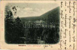 1903 Barlangliget, Höhlenhain, Tatranská Kotlina (Magas Tátra, Vysoké Tatry); (EK)