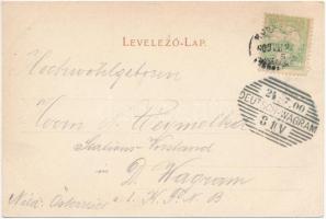 1900 Csaca, Csacza, Cadca, Caca; Vásártér, Kiszucza folyó, fűrészgyár iparvasúttal. S. Lustig / mark...