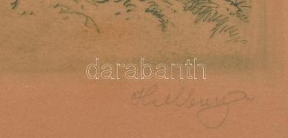 Helbing Ferenc (1870-1958): Gellért szobor. Színes rézkarc, papír, jelzett, üvegezett fakeretben, 21...