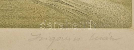 Zsigovics Iván (1958- ):Budapesti panoráma. Színes rézkarc, papír, jelzett, számozott (17/100), üveg...