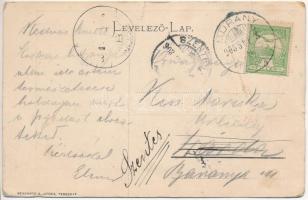 1908 Temesmurány, Temes-Murány, Murani; Hammer Samu és Fia vegyeskereskedés, üzlet, Nagyvendéglő. Me...