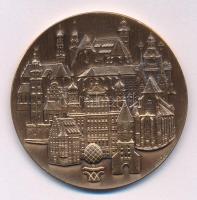 NDK 1980. "150 éves az ágostai hitvallás" Br emlékérem (50mm) T:1-
GDR 1980. "150th ...