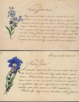 1873 8 db dekoratív szerelmes levél szép levélpapíron + 2 rajzos boríték / Love letters on nice pape...