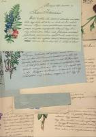 1873 8 db dekoratív szerelmes levél szép levélpapíron + 3 rajzos boríték  / Love letters on nice paper + envelopes