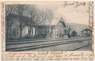 1905 Borossebes, Boros-Sebes, Sebis; vasútállomás. Deutsch fényképész felvétele. Bienenstock Jakab kiadása / railway station (fl)