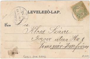 1905 Borossebes, Boros-Sebes, Sebis; vasútállomás. Deutsch fényképész felvétele. Bienenstock Jakab k...