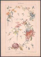 cca 1900-1910 Dekorative Vorbilder, 20 db szecessziós ornamentikával díszített nyomat. Ebből 2 db Pa...